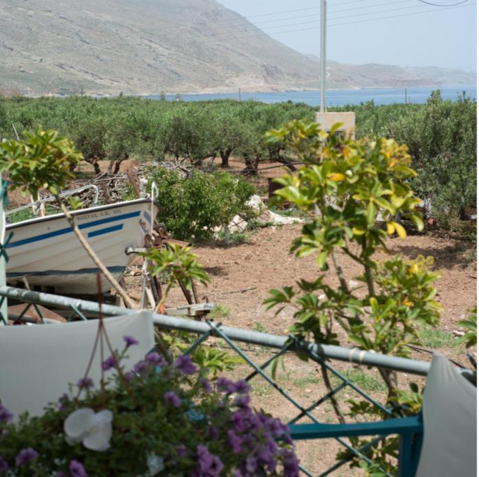 Villa Sotiris Kissamos Bagian luar foto